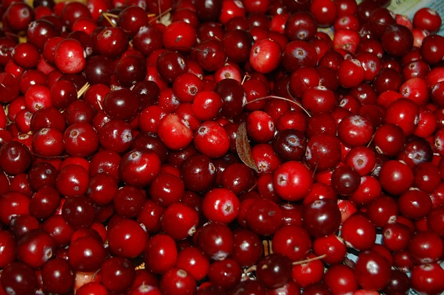 Why Do Cherries Make You Poop So Much?